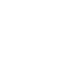 anwaeltliche-taetigkeit-icon-weiss
